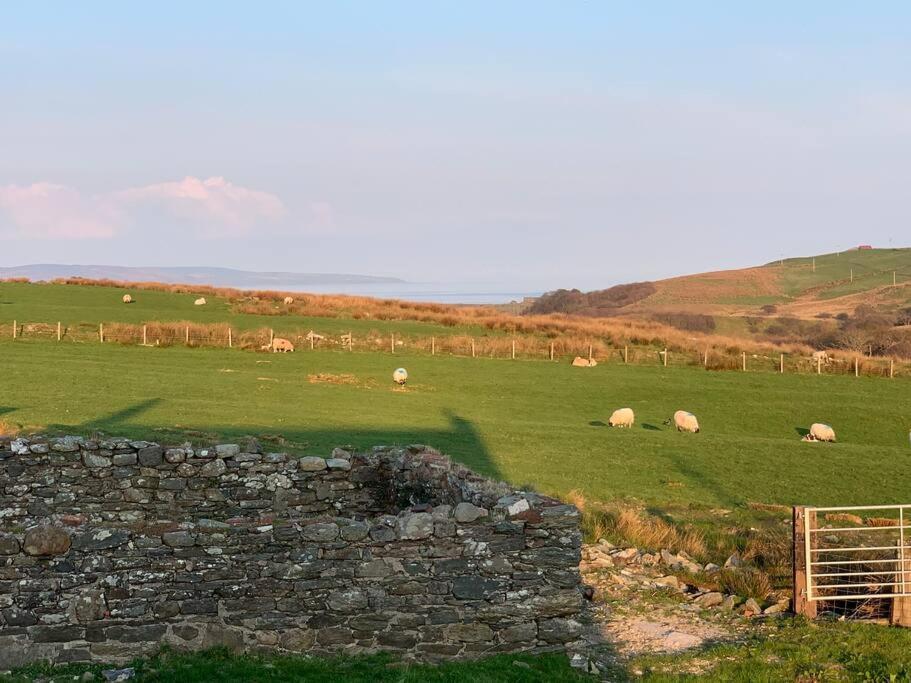 Traditional Cottage Near Campbeltown Exteriör bild